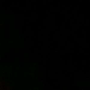 Meet your Posher, Nora